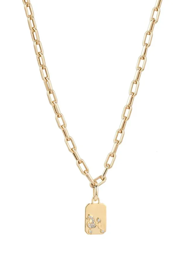 Pav Diamond Poodle Charm Adina Reyter Charm Necklaces