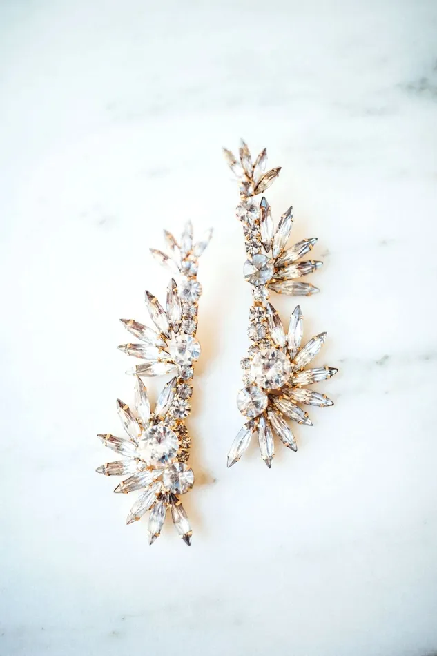Elizabeth Cole Jewelry Earrings Livy Earrings