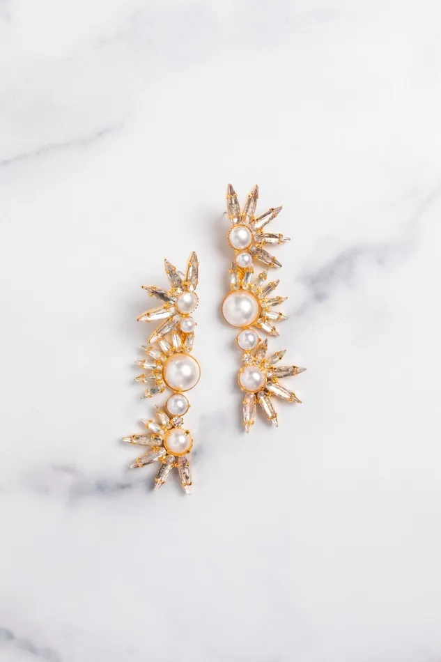 Elizabeth Cole Jewelry Earrings Livy Earrings