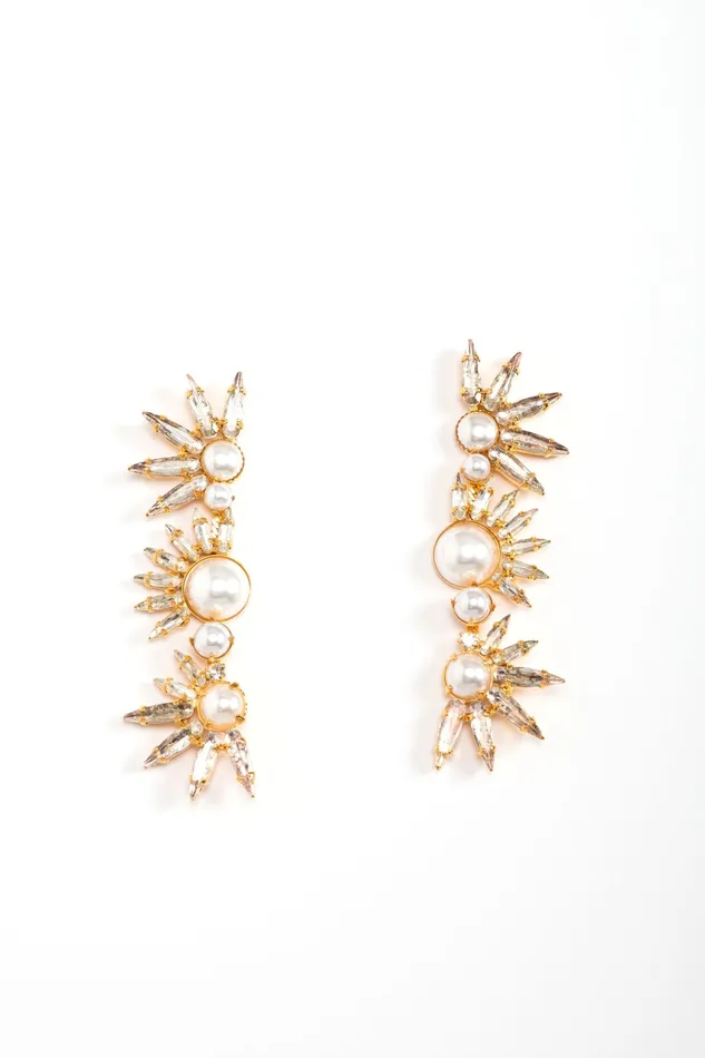 Elizabeth Cole Jewelry Earrings Livy Earrings