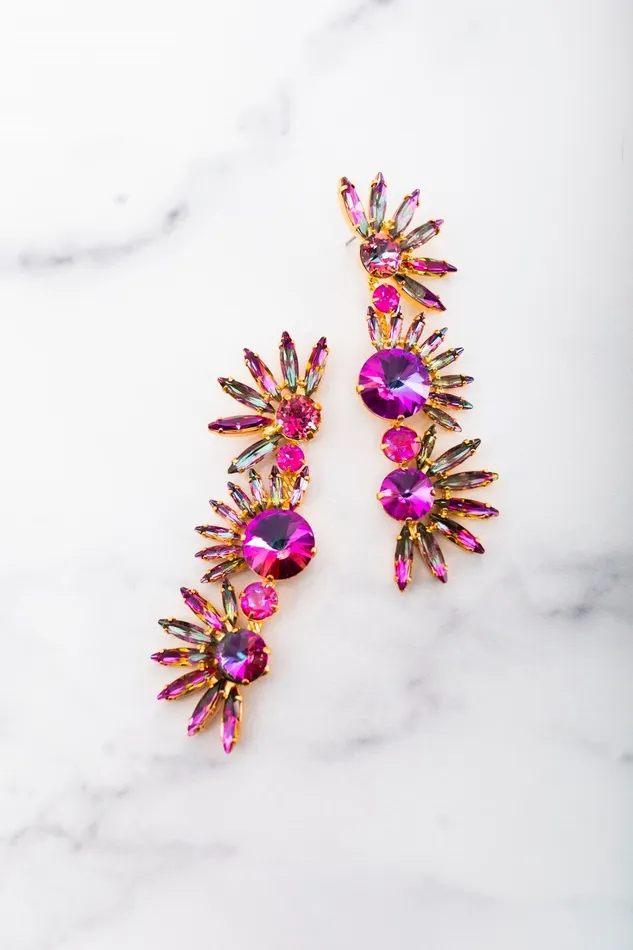 Elizabeth Cole Jewelry Earrings Livy Earrings