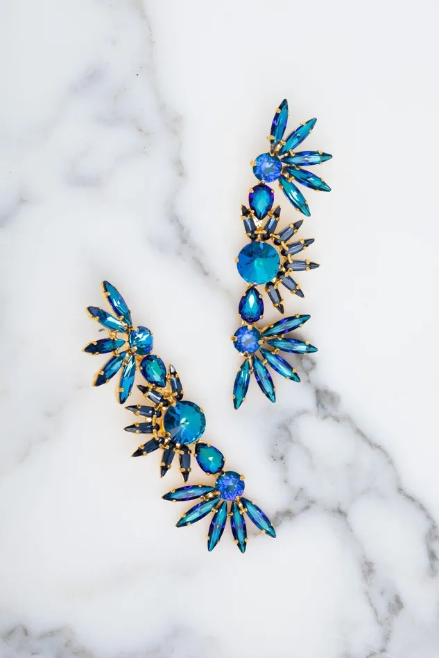 Elizabeth Cole Jewelry Earrings Livy Earrings