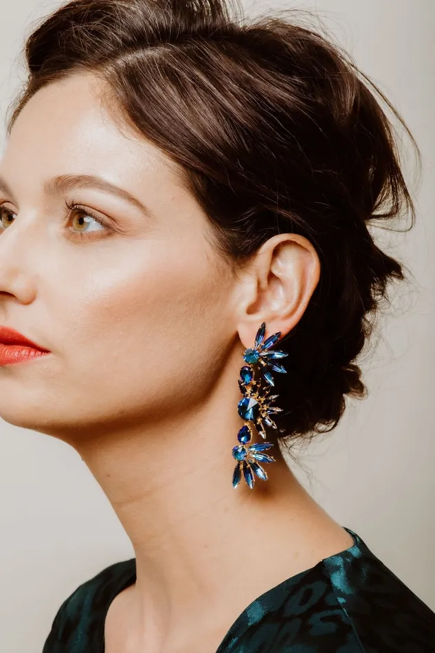 Elizabeth Cole Jewelry Earrings Livy Earrings