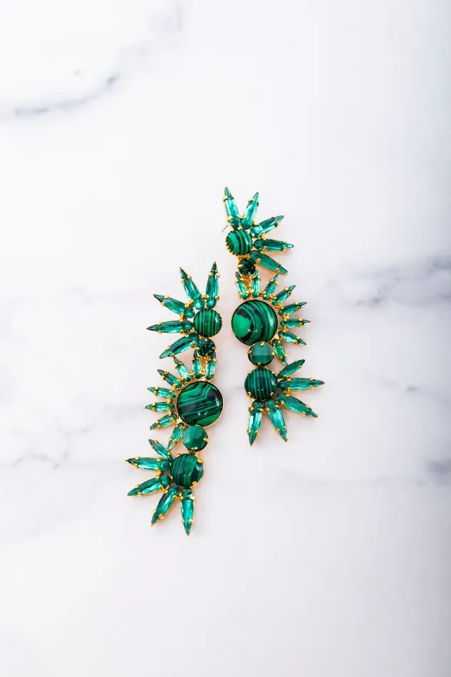 Elizabeth Cole Jewelry Earrings Livy Earrings