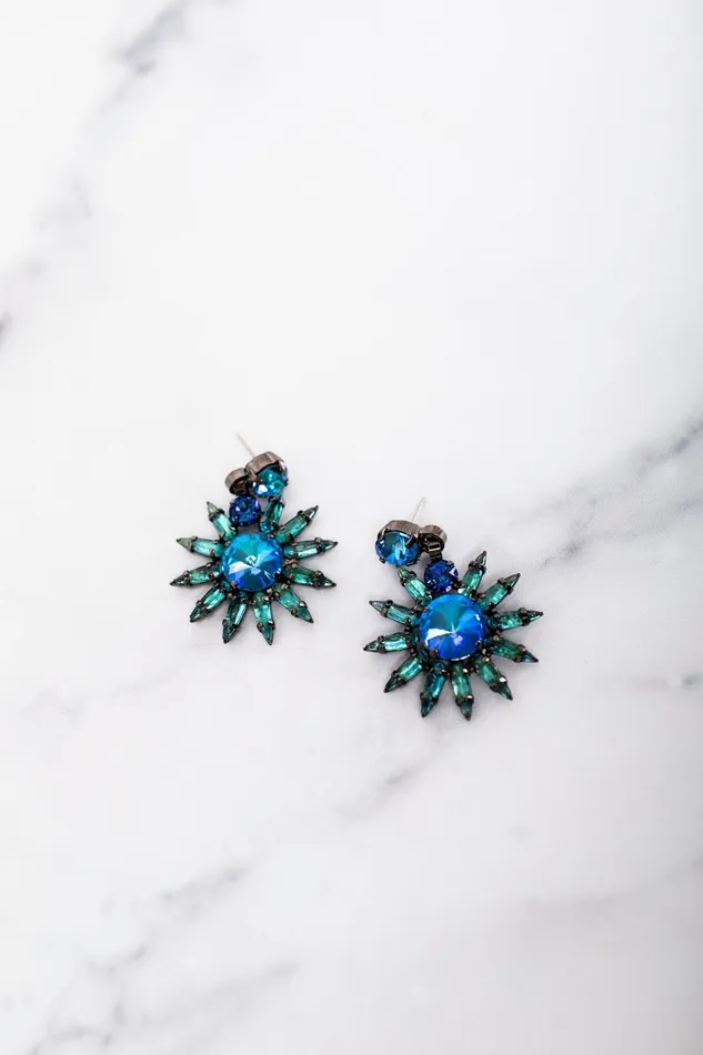 Elizabeth Cole Jewelry Earrings Viona Earrings