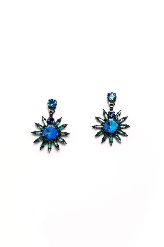 Elizabeth Cole Jewelry Earrings Viona Earrings