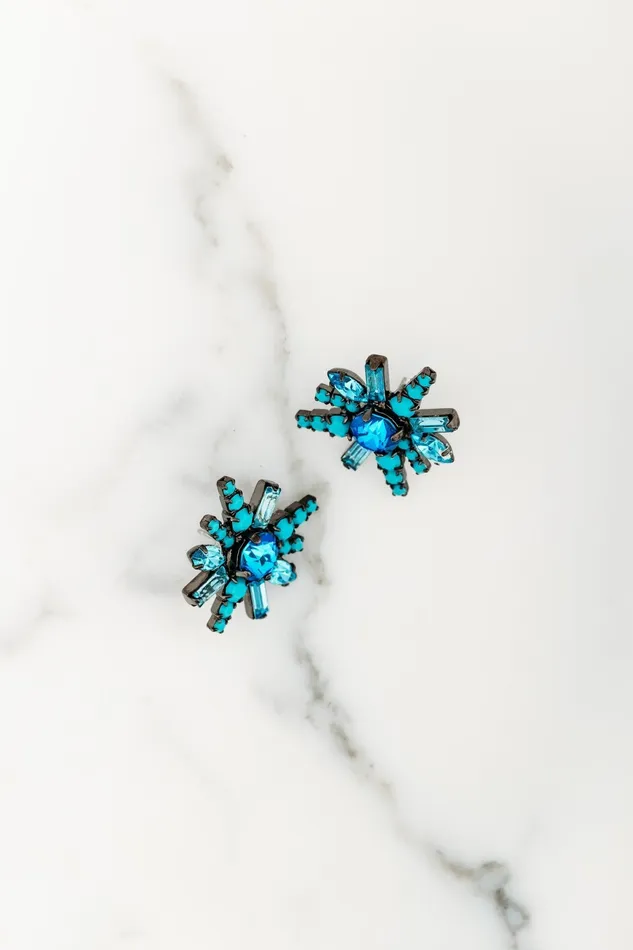 Ravi Earrings Elizabeth Cole Jewelry Earrings
