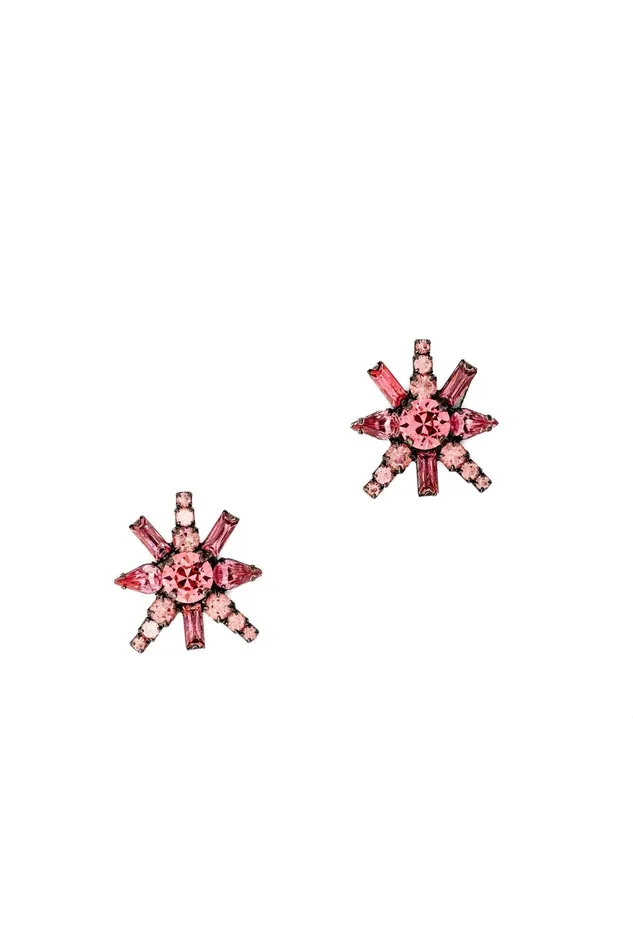 Ravi Earrings Elizabeth Cole Jewelry Earrings