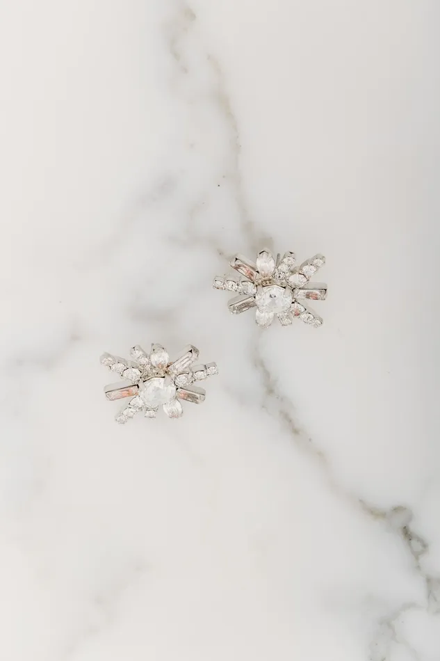 Ravi Earrings Elizabeth Cole Jewelry Earrings