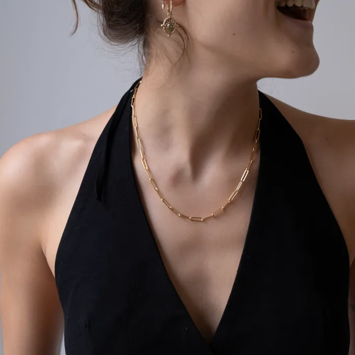 Vivien Frank Designs Necklaces Gold Paper clip necklace